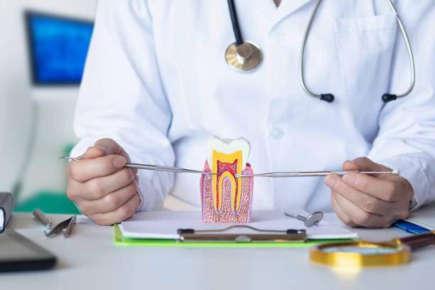 Best Knocked-Out Tooth Emergency  in Fort Oglethorpe, GA